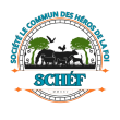 SCHÉF SARL – Le Commun des Héros de la Foi
